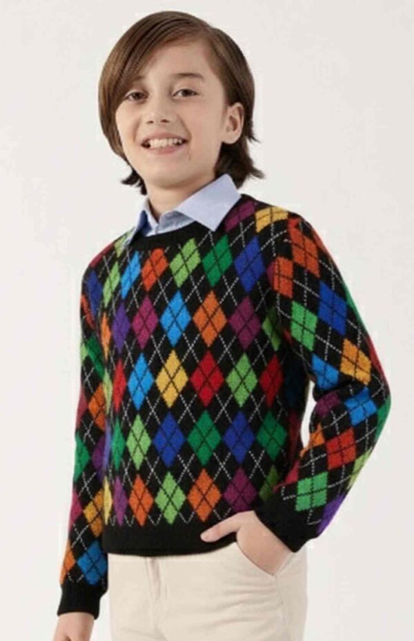 Boys Pullover Winter Wear Sweaters